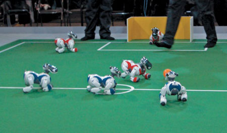 Интересно, если бы за выход в чемпионат мира наша сборная сражалась с командой робособачек Aibo, — кто бы победил?