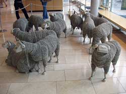 стадо овец с шерстью из телефонного шнура и телефонными головами