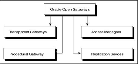 Рис. 1. Семейство продуктов Oracle Open Gateways.
